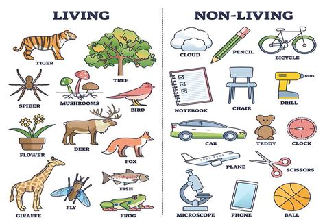 5 non living things drawing|Give an example of a non.